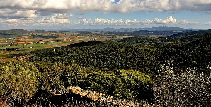 Maremma01