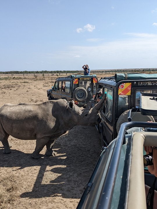 Rhino Conservancy Visit
