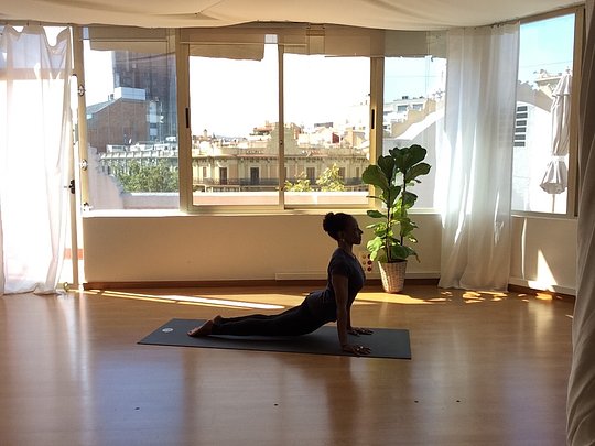 Vinyasa Flow - Fundamentals  ~ 8am 