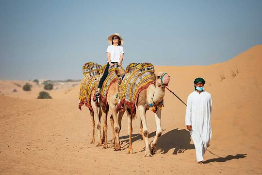 Desert Safari
