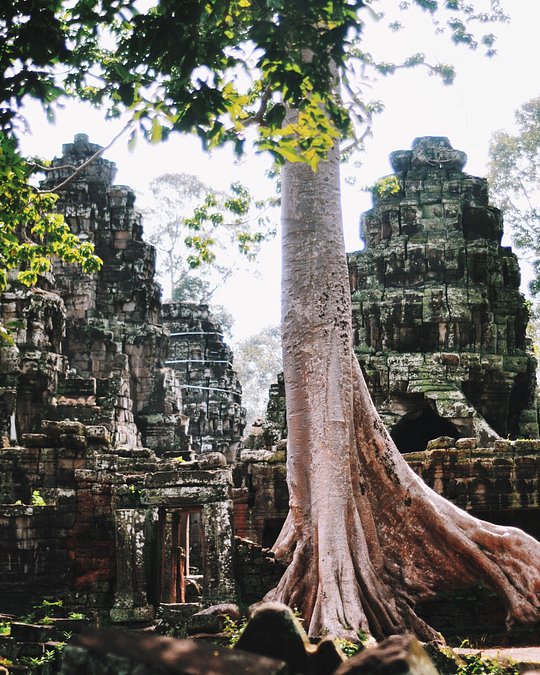Angkor Wat & The Temples