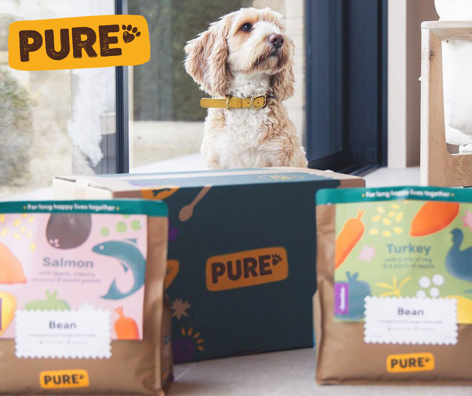 PURE “pure pet food London” “pure best fit food uk” “pure at artisanal stall at the summer food festival” “personalised healthy dog food delivery uk””pure pet food uk” “pure pet food at savour food festival 2023” “best pet food pure at artisanal stalls of the festival”