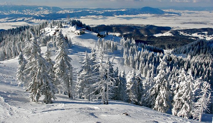 Skiing