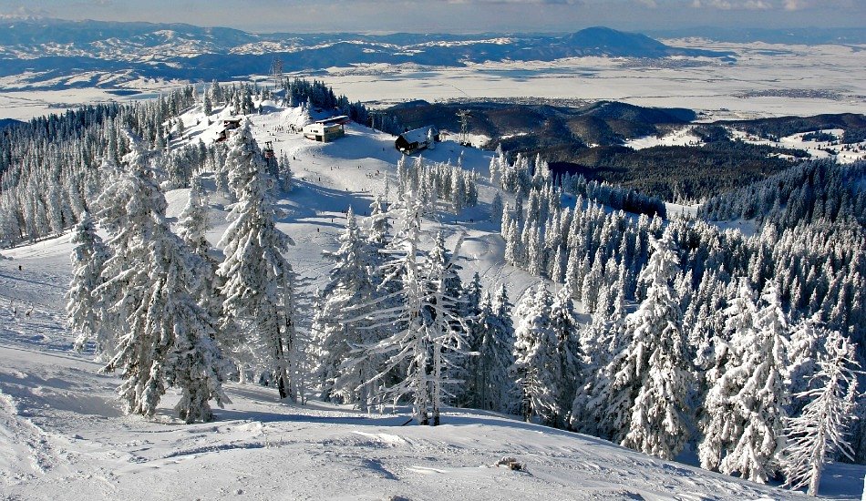 Skiing
