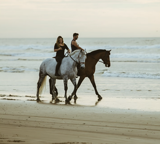 Horseback Ride Along the Beach (1 Hour) CHOOSE ONE OPTION