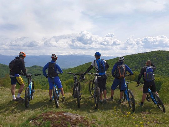 Bison Tracking & E-Bike Tour