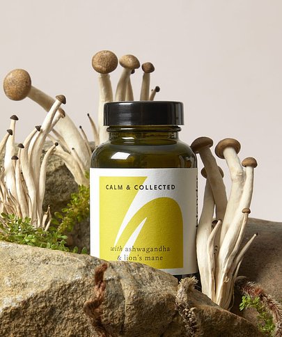 Premium adaptogenic mushroom supplements