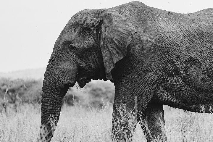 HR_TANZANIA_ZAHIJOURNEYS_2024_1222