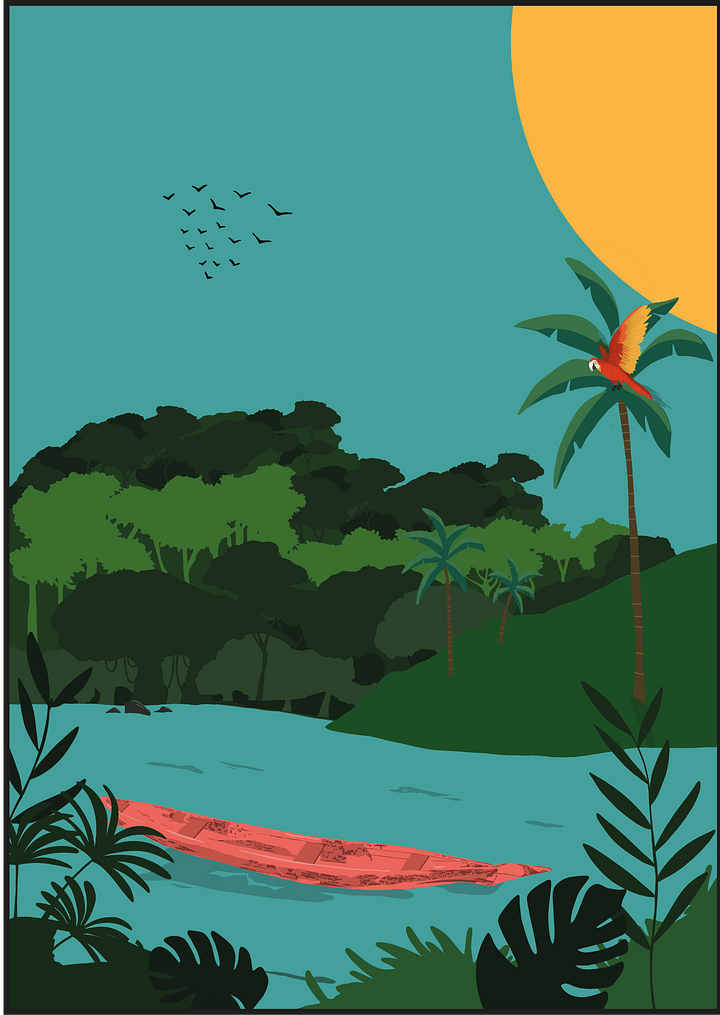 AmazonBorder07