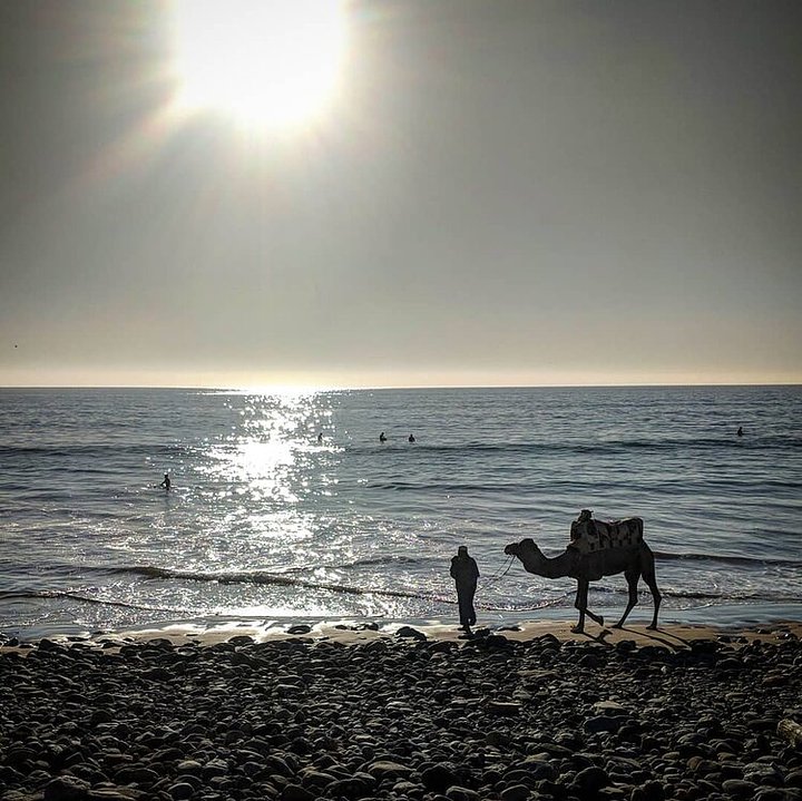 sunsetcamel1