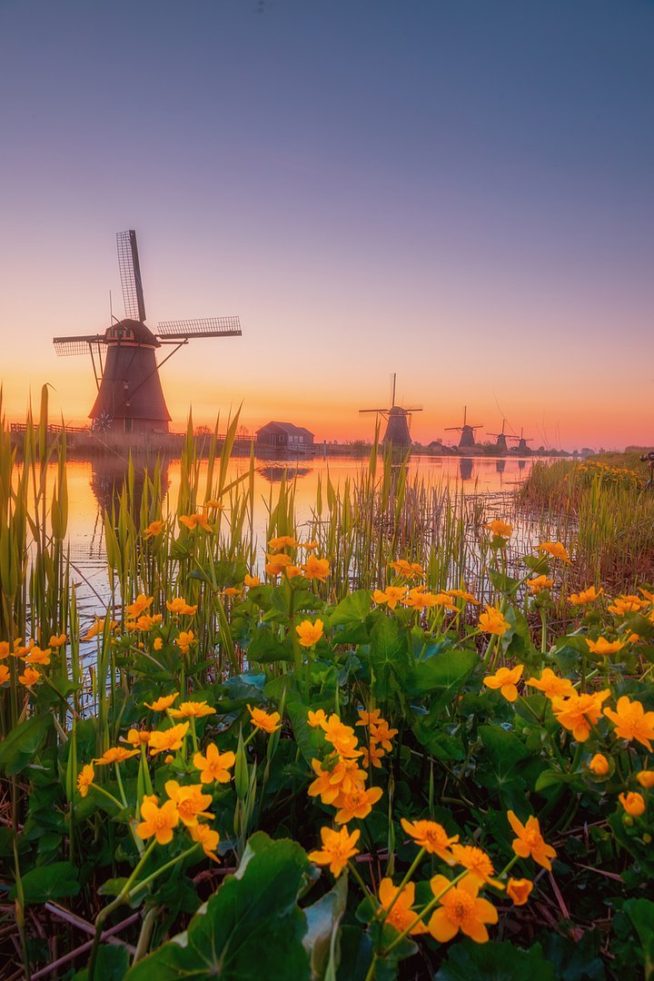 iStock1990546564