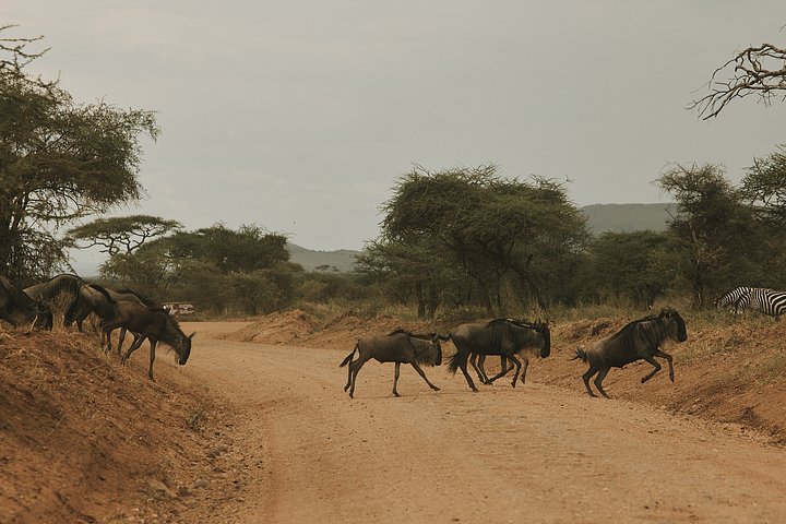 HR_TANZANIA_ZAHIJOURNEYS_2024_9521