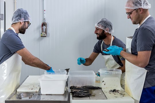 A visit to a modern Canning Factory