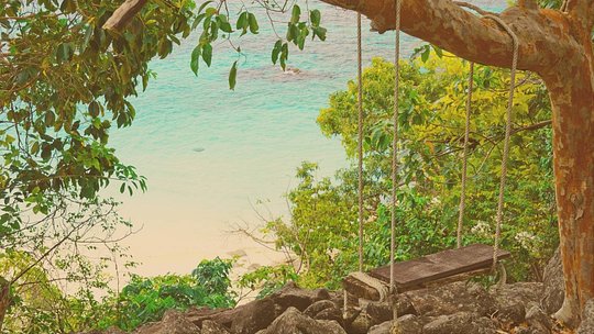 Where the Jungle Meet the Ocean