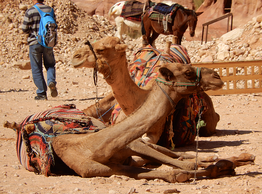 Travel