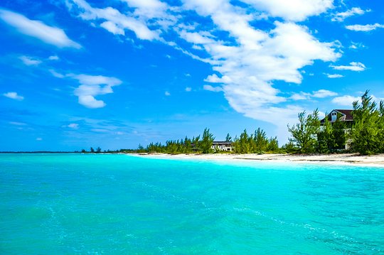 Island Life