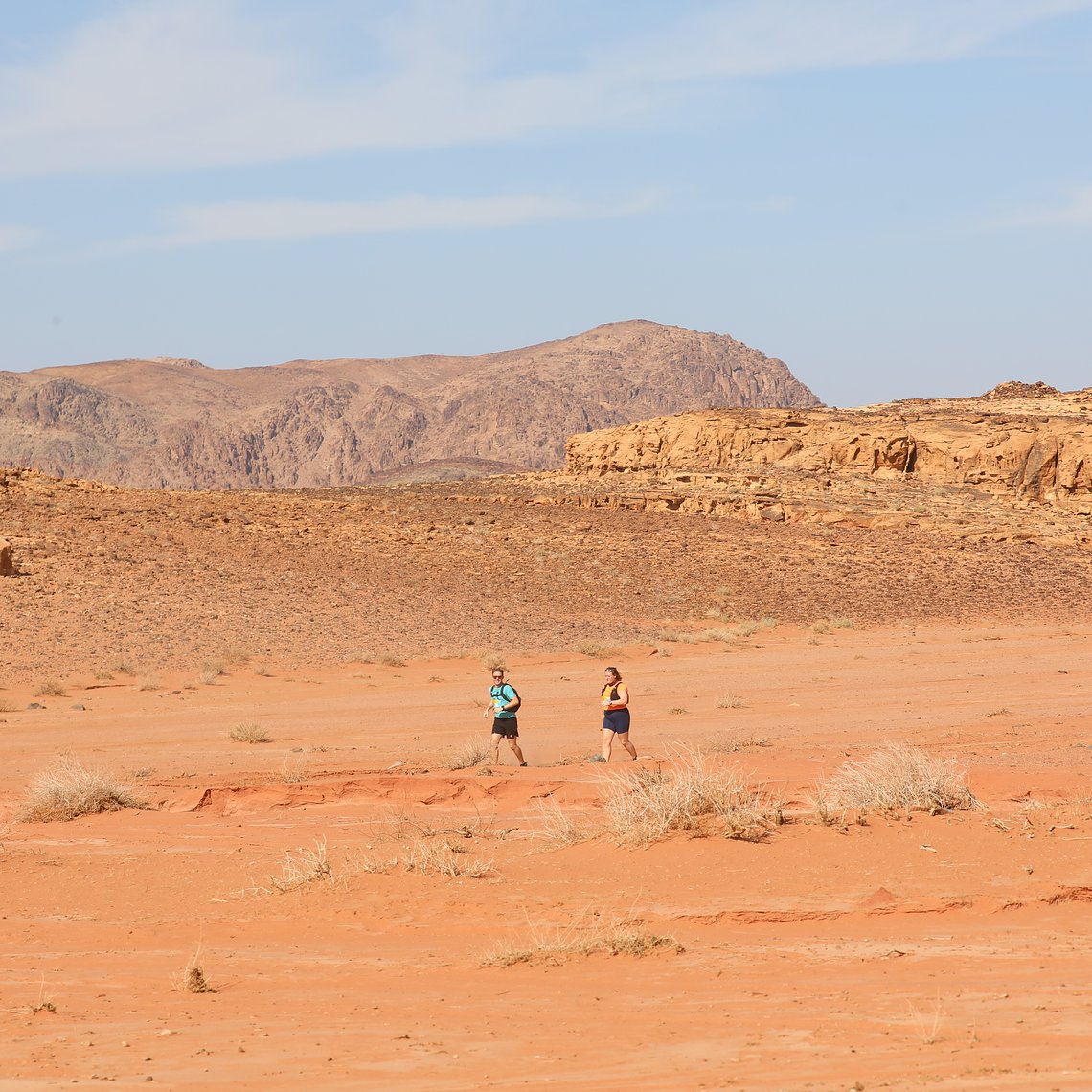 21km - Half Marathon