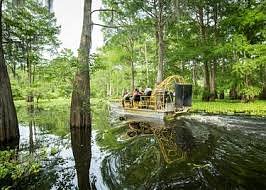 4/20 Swamp Tour 