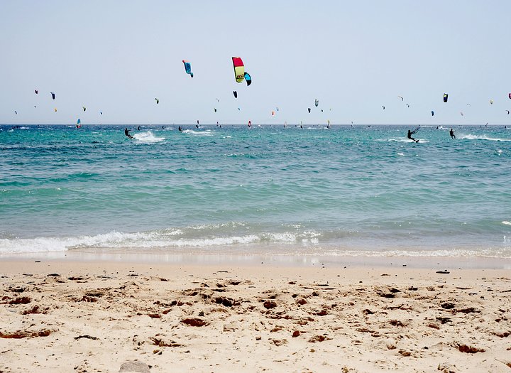 kookoo_tarifa