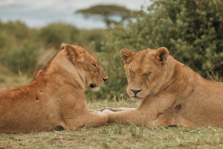 20241124_AFRICA_ZAHIJOURNEYS_7