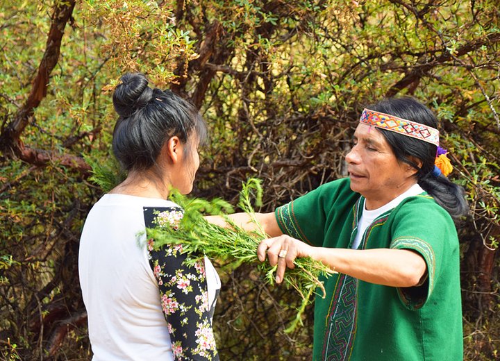 SanPedroceremonytravelandhealing2