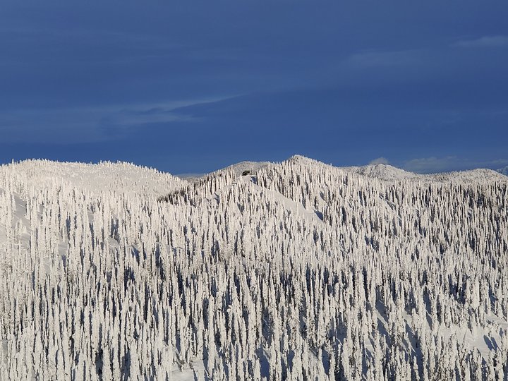 Whitefish Mountain, Montana