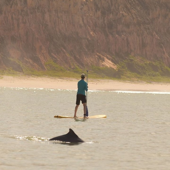 surfschool3