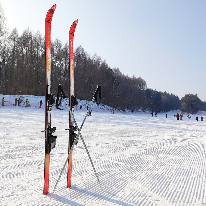 Demo/Performance Ski Rental Package 4 Days 