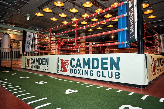 Professional boxing experience