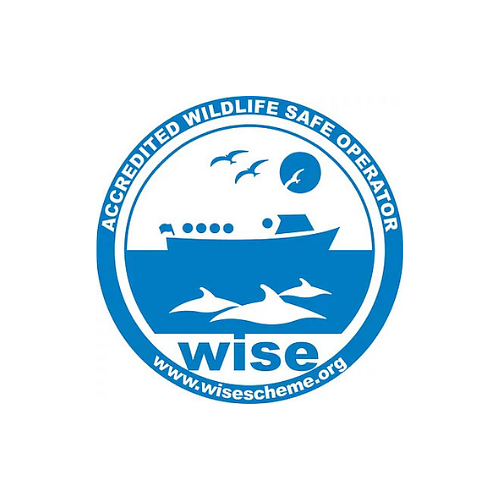 WiSeLogo2