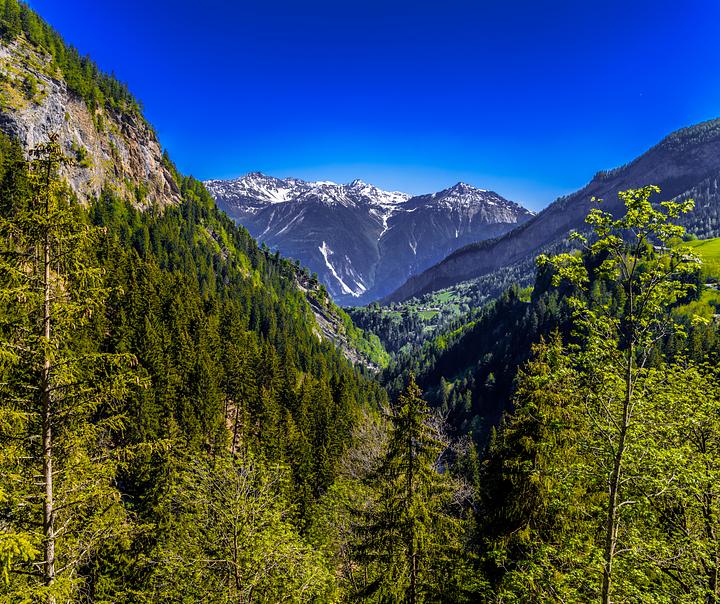 Day7Daubensee
