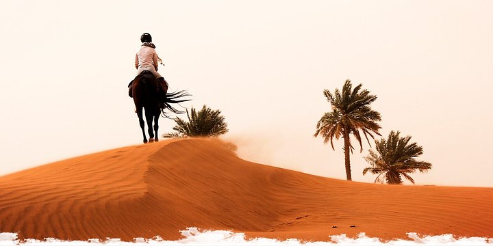 moroccoridereportiriseditoblogequusjourneys