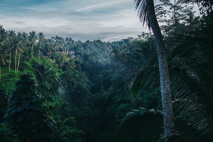 geiotischlerBnu9pm4GAkIunsplash