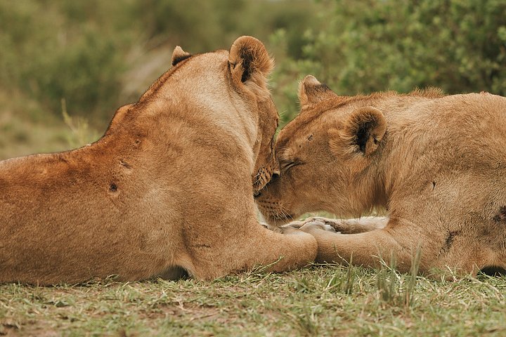 HR_TANZANIA_ZAHIJOURNEYS_2024_389