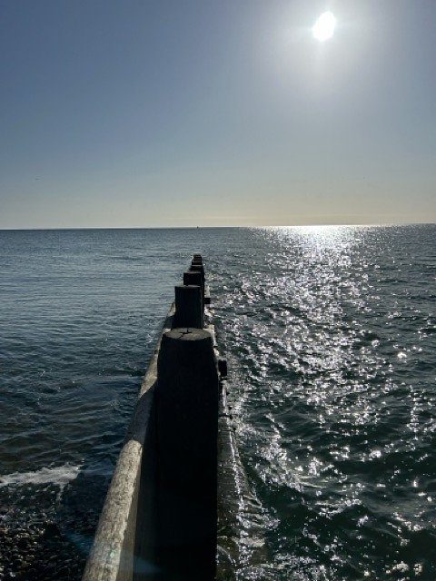 IMG_3800Medium