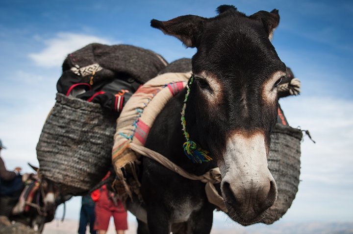 MaroccoBest_064