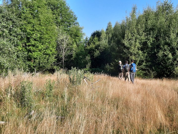 wildernesstrail5
