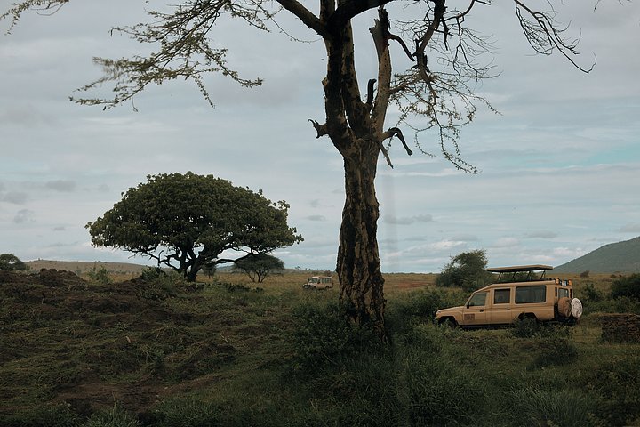 HR_TANZANIA_ZAHIJOURNEYS_2024_351