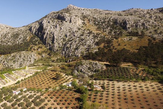 Cortijo la Higuerilla