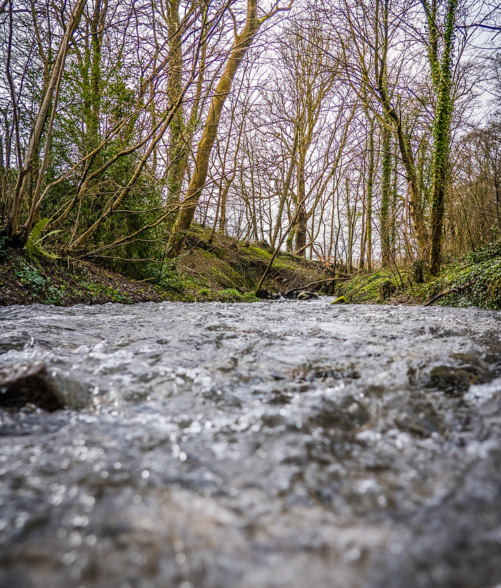 unsplash_NPiX898FFNc