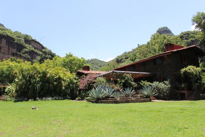 LasSucculentasWideview
