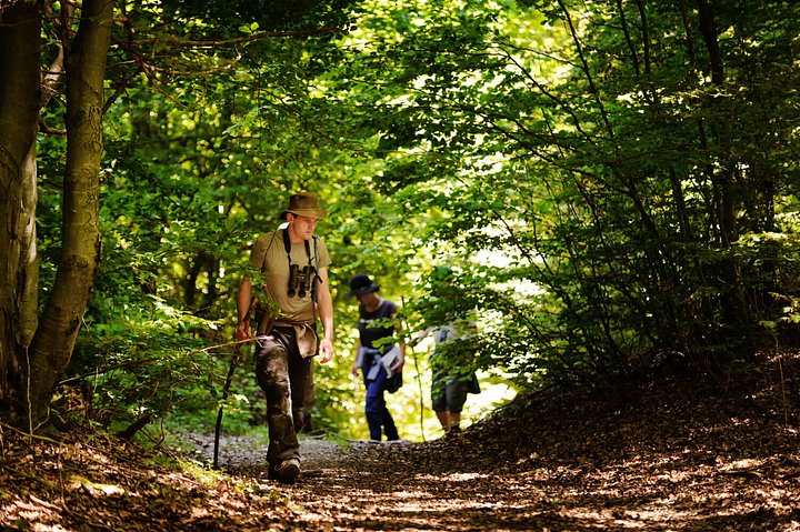 wildernesstrail4