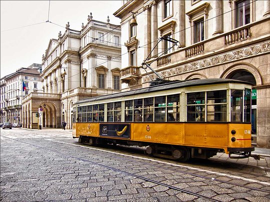 Familiarize Yourself with Transportation Options