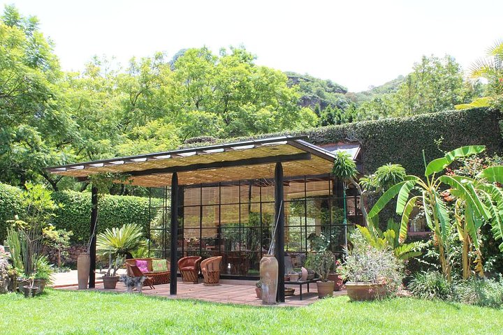 LasSucculentasAtrium2