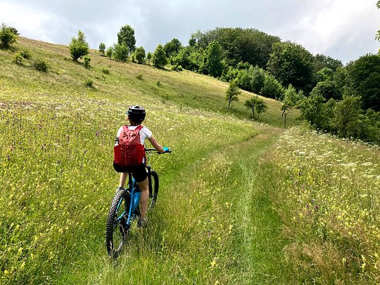 Nature, the exciting way