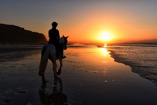 Sunset Horseback Riding