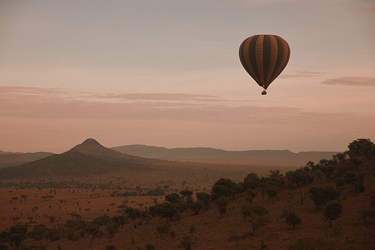 Balloon Safari