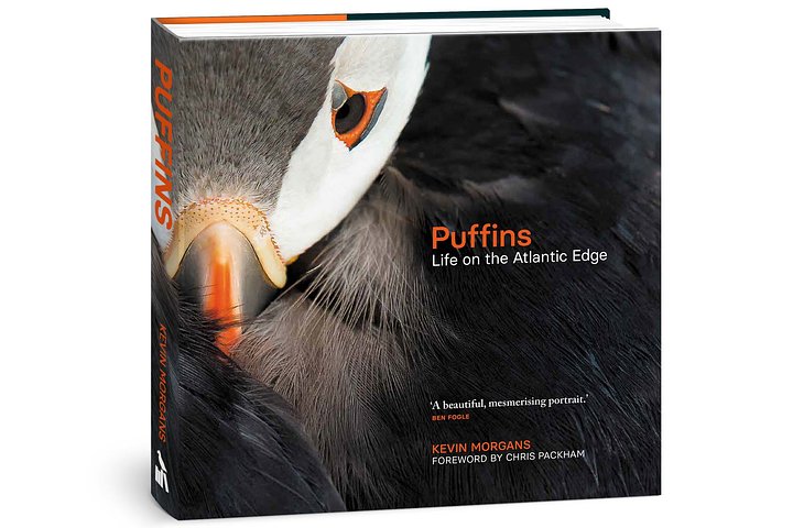 Puffinspackshot