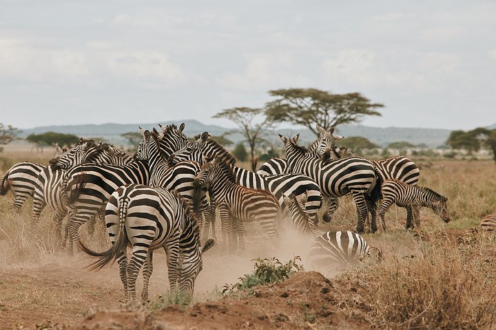 HR_TANZANIA_ZAHIJOURNEYS_2024_940