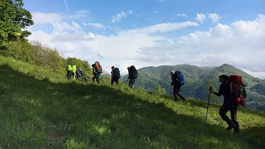 Wilderness Trail, August 2024